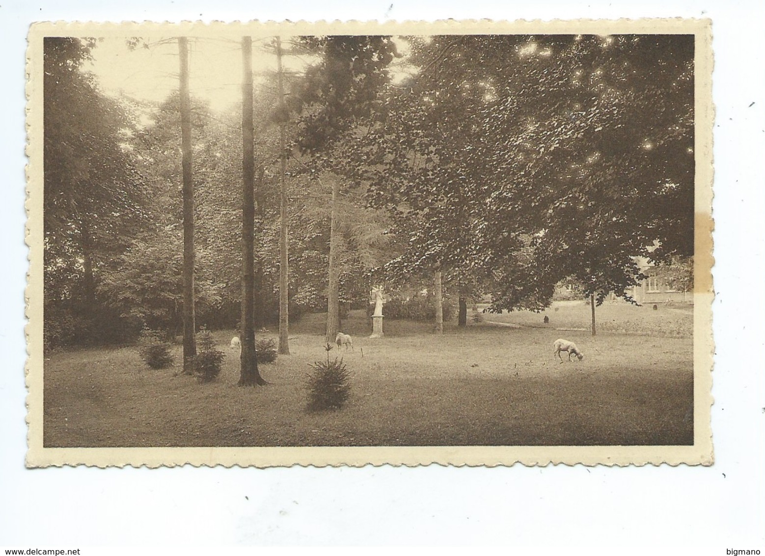 Fleurus Institut Episcopal St Victor Un Coin Du Parc - Fleurus