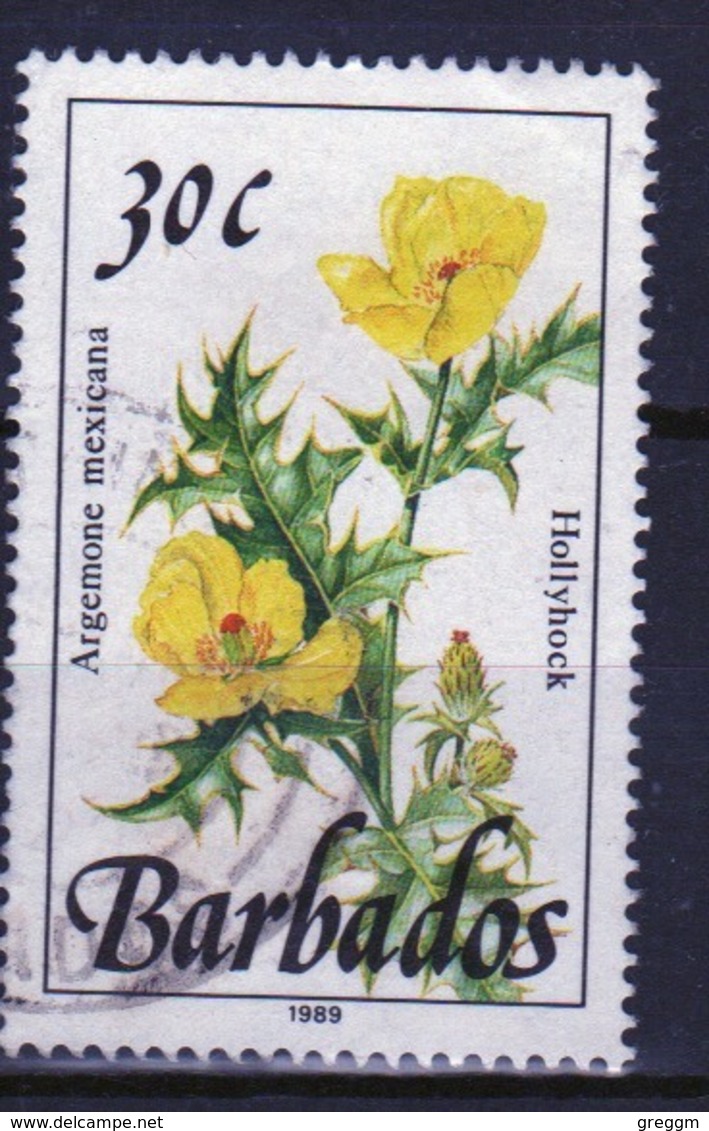 Barbados Single 30c Stamp From The 1989 Wild Plants Series. - Barbados (1966-...)