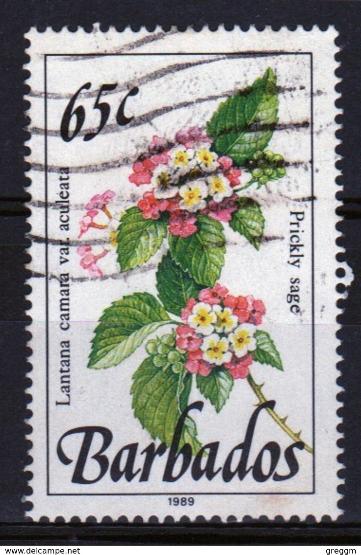 Barbados Single 65c Stamp From The 1989 Wild Plants Series. - Barbados (1966-...)