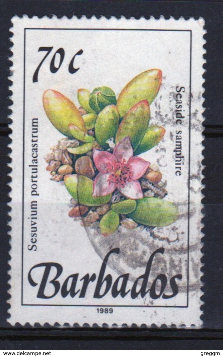 Barbados Single 70c Stamp From The 1989 Wild Plants Series. - Barbados (1966-...)
