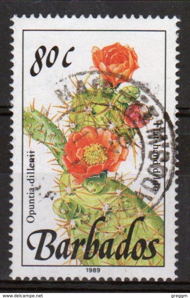 Barbados Single 80c Stamp From The 1989 Wild Plants Series. - Barbados (1966-...)