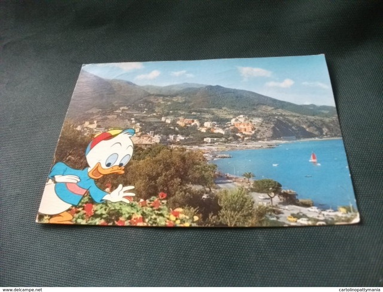 DISNEY UNO DEI NIPOTINI DI PAPERINO QUI QUO O QUA ARENZANO LIGURIA - Disneyland