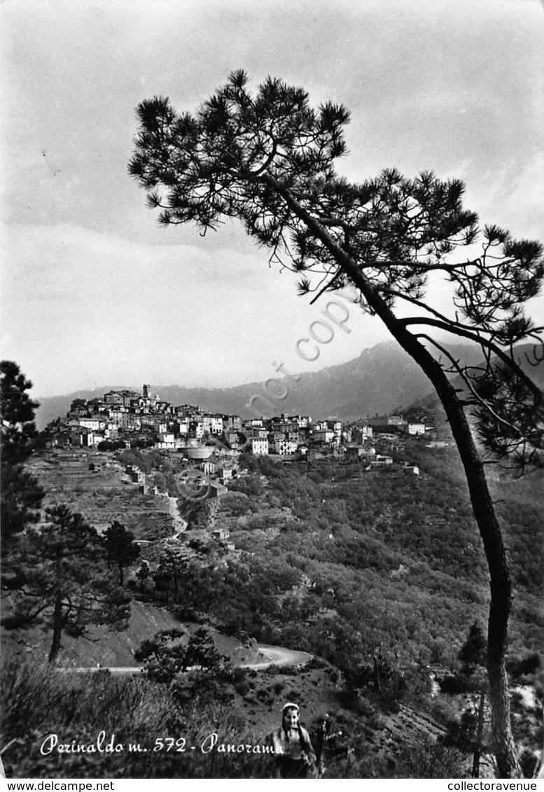 Cartolina Perinaldo Panorama 1956 (Imperia) - Imperia