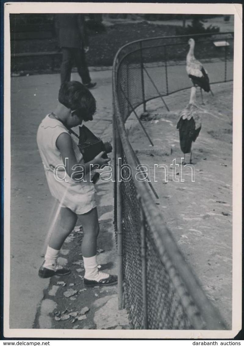 Cca 1935 Kinszki Gáborka Fotografál, Jelzés Nélküli Vintage Fotó Kinszki Imre (1901-1945) Budapesti Fotóművész Hagyatéká - Sonstige & Ohne Zuordnung