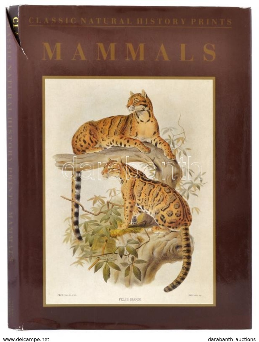 Dance, Stanley Peter: Mammals. London, 1990, Studio Editions. Vászonkötésben, Papír Védőborítóval, Jó állapotban. - Ohne Zuordnung