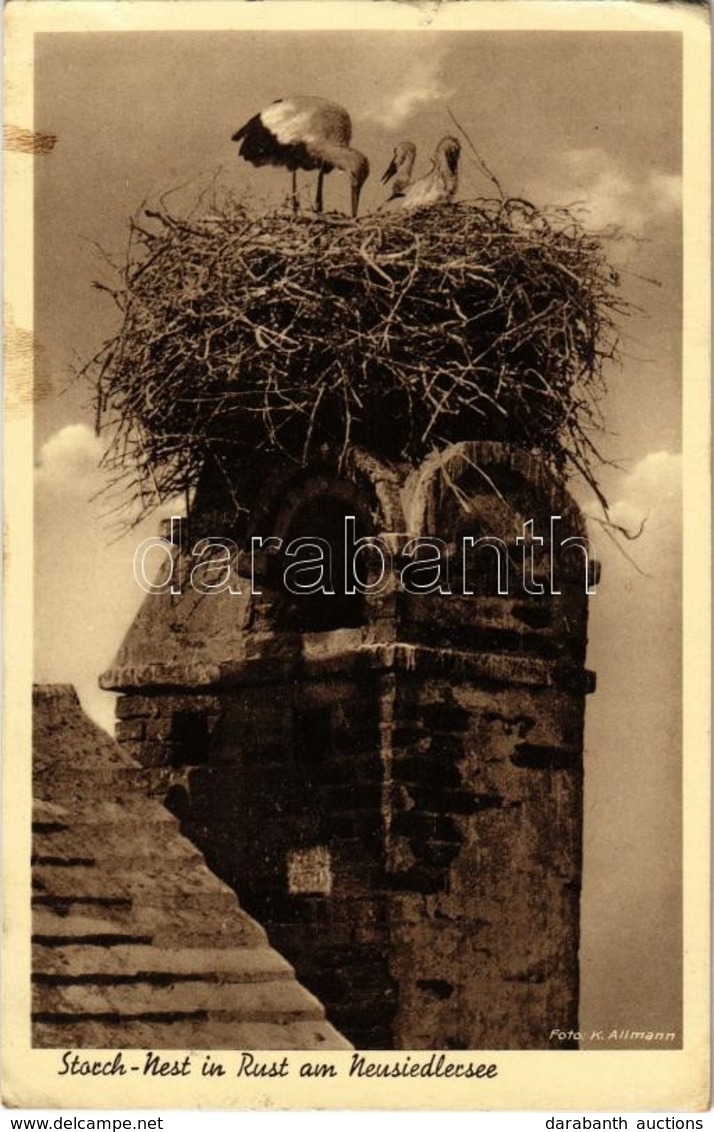 T2/T3 1939 Ruszt, Rust Am Neusiedlersee; Storch-Nest. Foto Karl Allmann / Stork Nest / Gólyafészek (EK) - Ohne Zuordnung