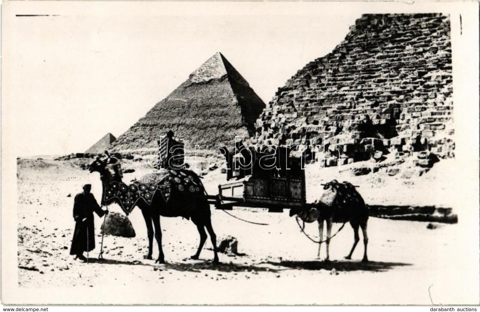 ** T1/T2 Giza, Pyramids Of Giza, Camels, Photo (non PC) - Ohne Zuordnung