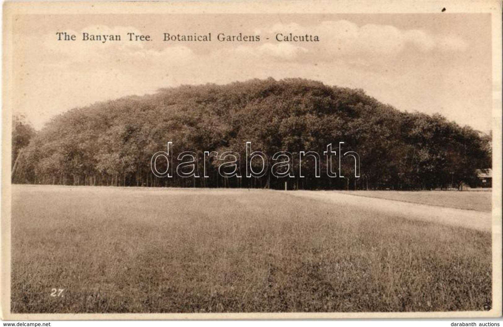 ** T2 Kolkata, Calcutta; The Banyan Tree, Botanical Gardens - Ohne Zuordnung