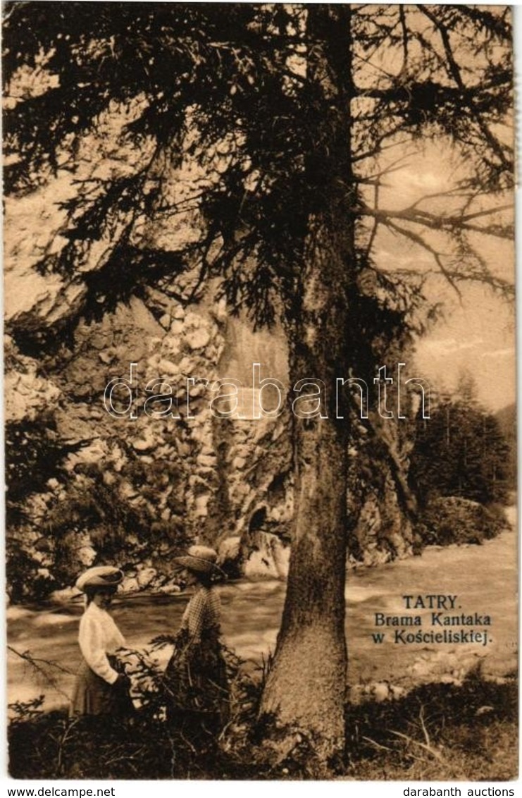 T2/T3 Tatry, Brama Kantaka W Koscieliskiej, Niznia Koscieliska Brama / Koscieliska Valley, Tourists, Ladies Hiking. 'Ste - Ohne Zuordnung