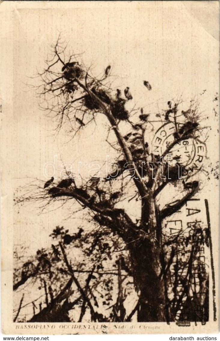 T2/T3 1938 Bassopiano Occidentale, Nidi Di Cicogne / Western Lowlands, Stork Nests (EK) - Ohne Zuordnung