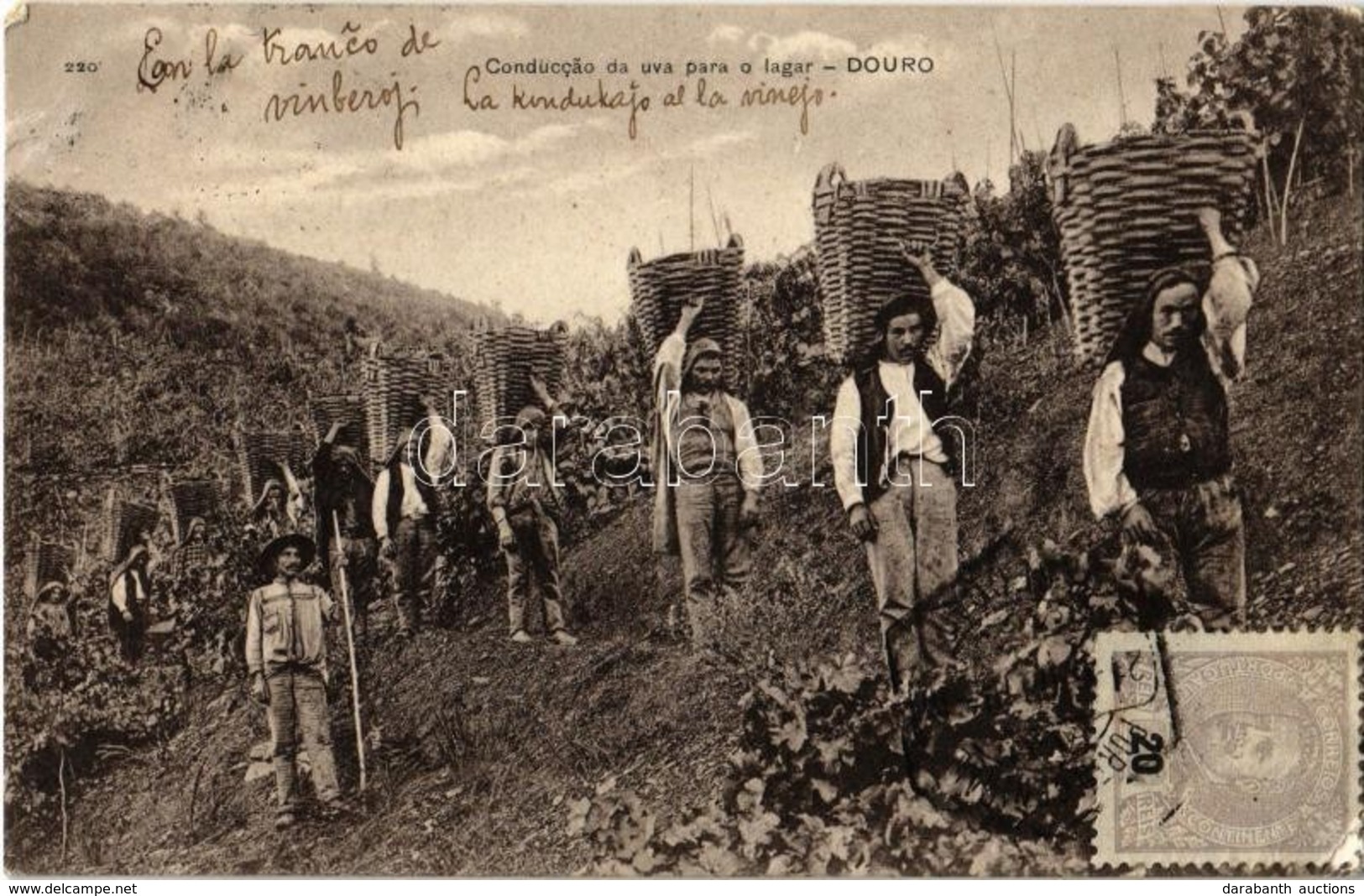 * T2/T3 1908 Douro, Conduccao Da Uva Para O Lagar / Bringing The Grapes To The Winepress, Vineyards. TCV Card (EK) - Ohne Zuordnung