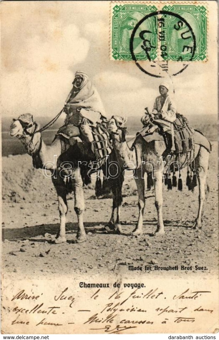 T3 1904 Chameaux De Voyage / Travellers On Camelback, Egyptian Folklore. TCV Card (fa) - Ohne Zuordnung