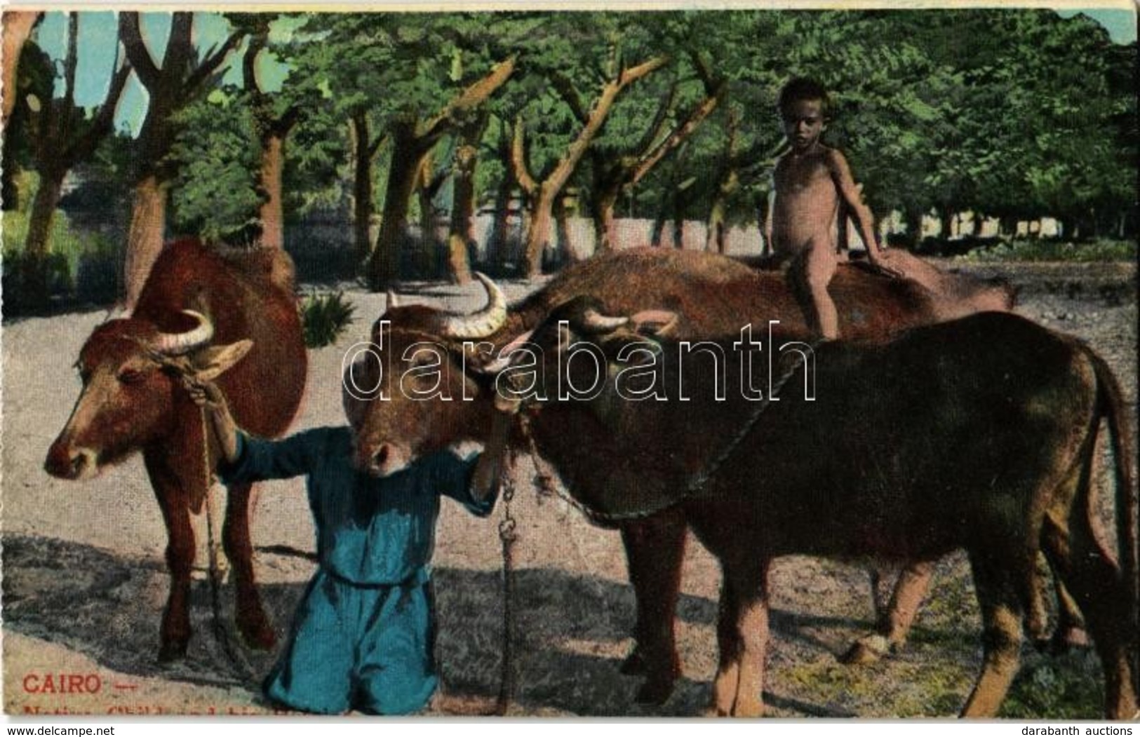 ** T2 Cairo, Natives With Cattle, Child, Egyptian Folklore - Ohne Zuordnung