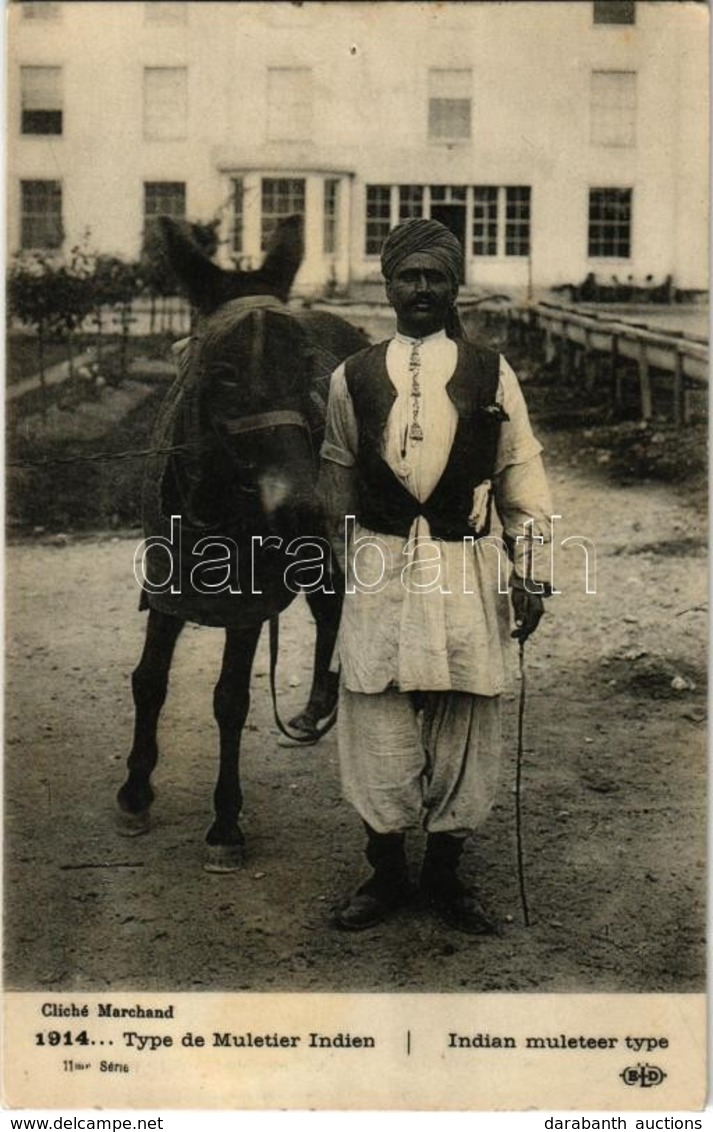 ** T2/T3 Type De Muletier Indien / Indian Muleteer Type, Folklore (pinhole) - Ohne Zuordnung