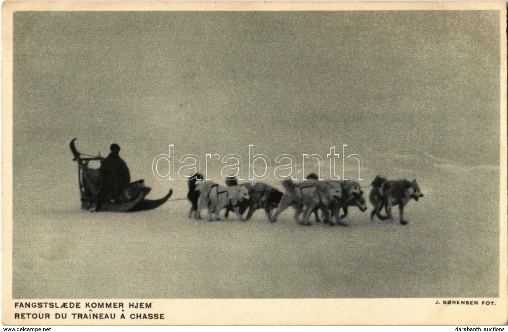 ** T2 Retour Du Traineau A Chasse / Hunter's Sled Returning Home, Dogs - Ohne Zuordnung