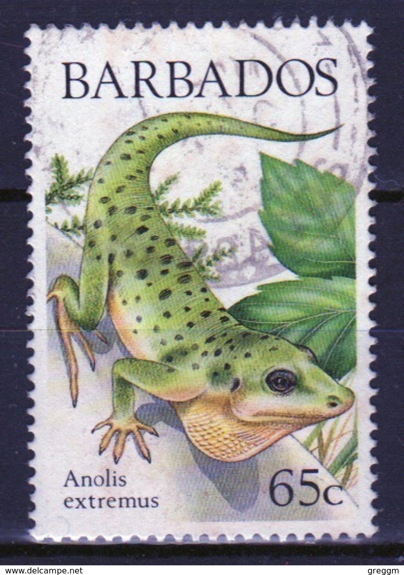 Barbados Single 65c Stamp From The 1988 Lizards Of Barbados Series. - Barbados (1966-...)