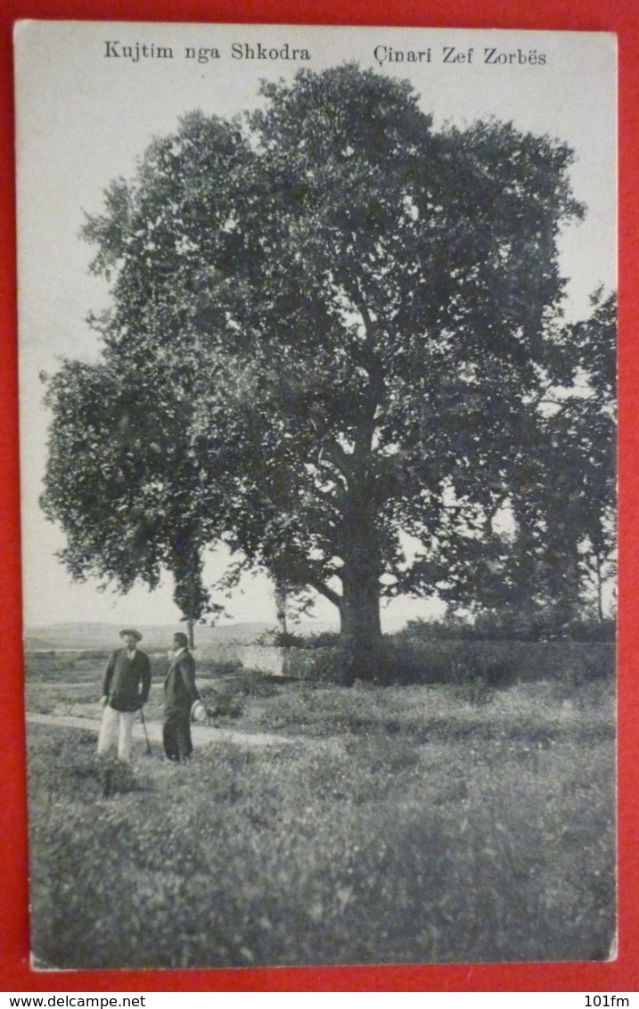 ALBANIA , KUJTIM NGA SHKODRA - CINARI ZEF ZORBES - K.U.K. FELDPOST 300 - Albanië