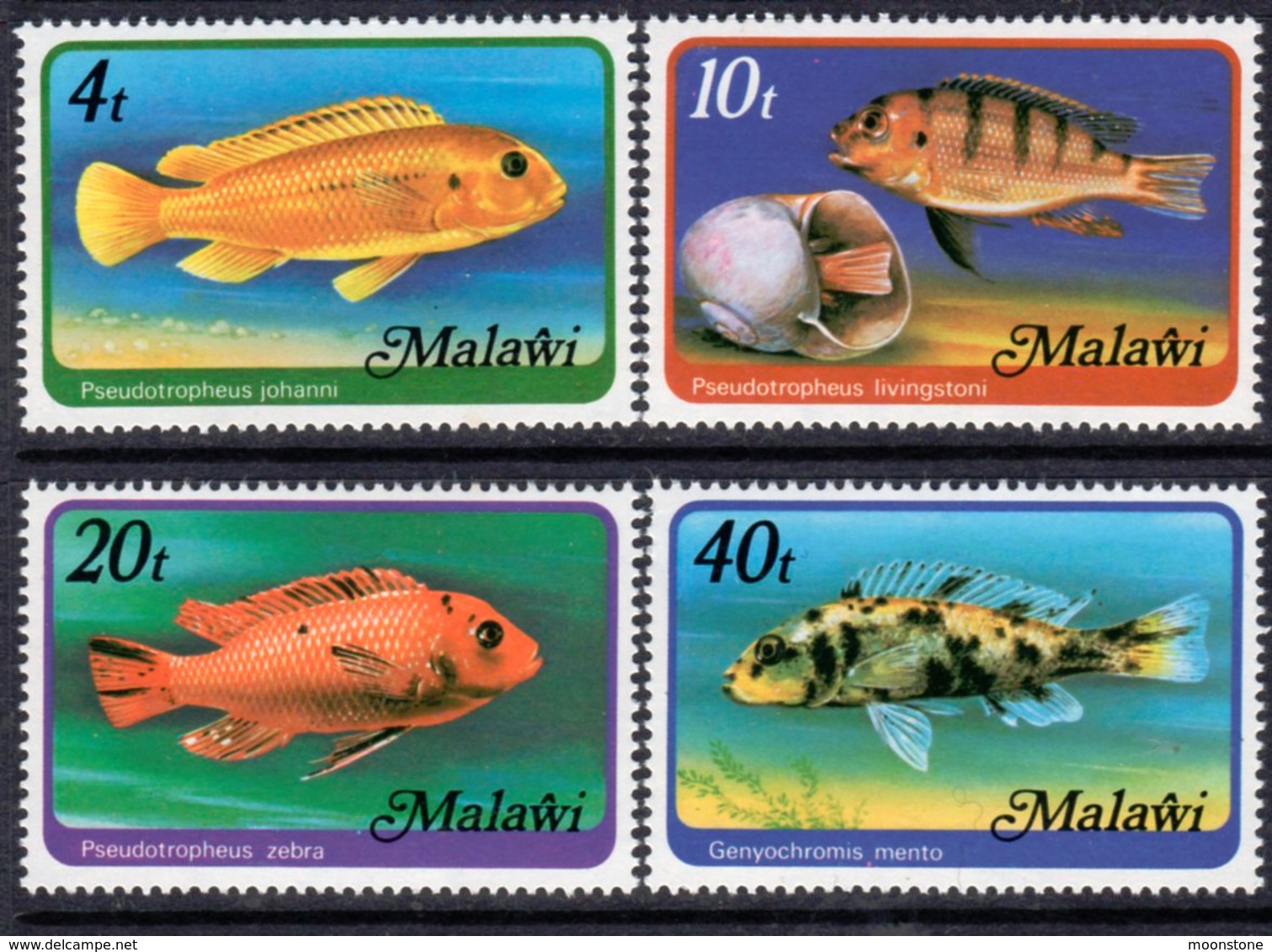 Malawi 1977 Fish Of Lake Malawi, With Watermark ( Perf. 13 Ex MS) Set Of 4, MNH, SG 556B (BA2) - Malawi (1964-...)