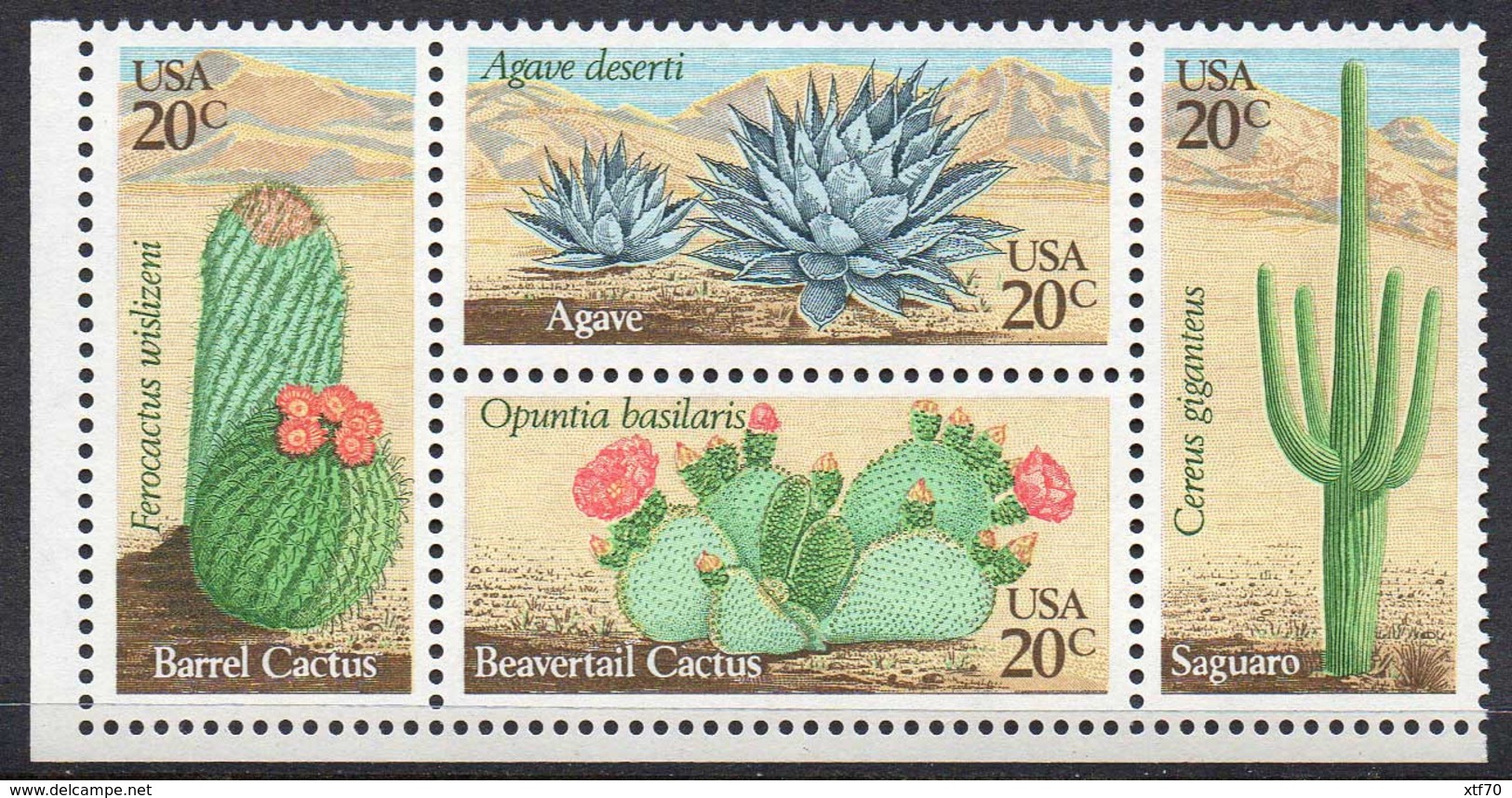 USA 1981 Desert Cacti - Unused Stamps