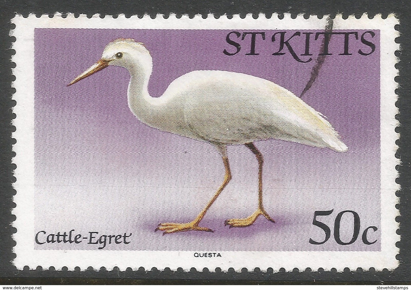 St Kitts. 1981 Birds. 50c Used. SG 65A - St.Kitts And Nevis ( 1983-...)