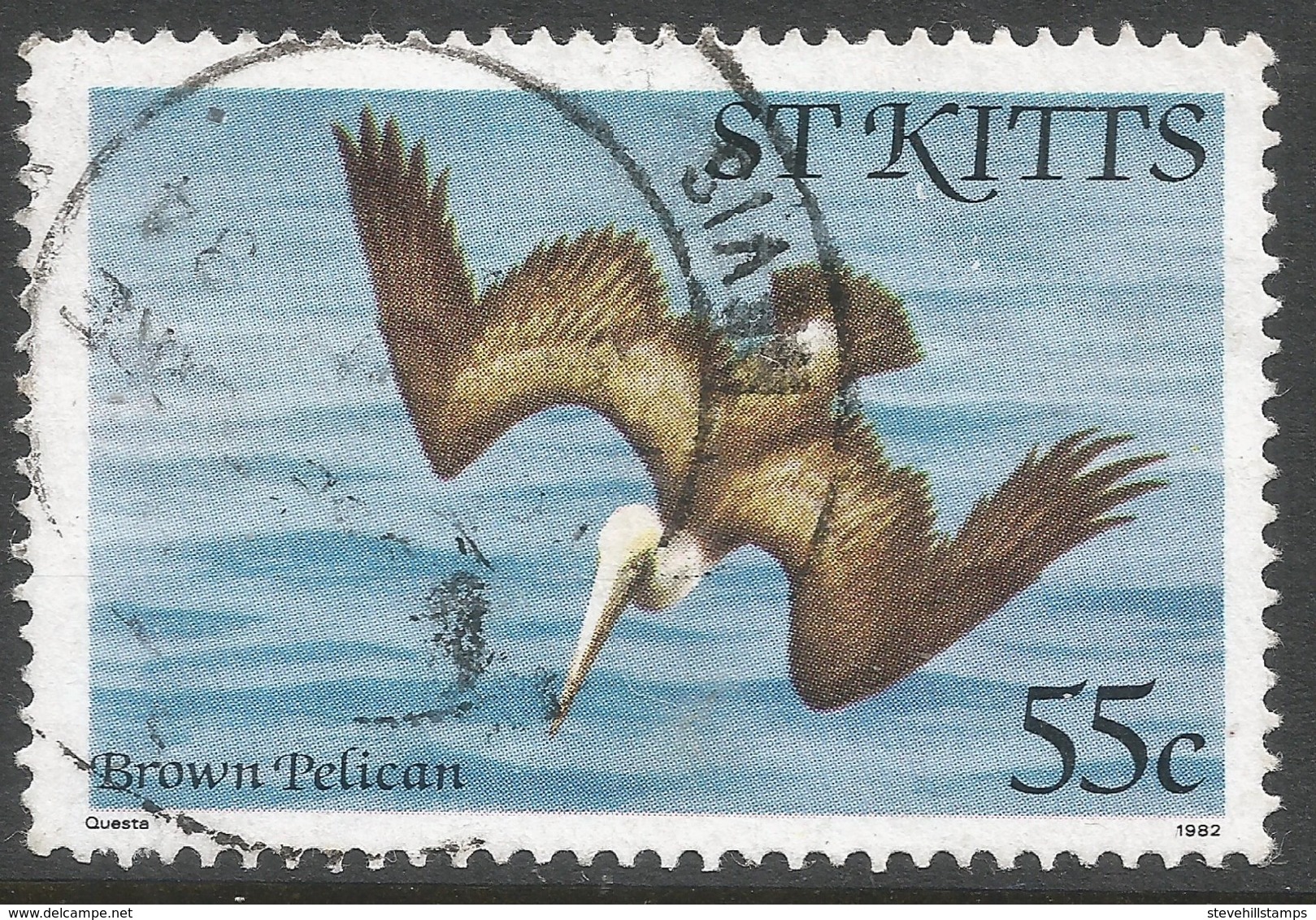 St Kitts. 1981 Birds. 55c Used. SG 66A - St.Kitts And Nevis ( 1983-...)