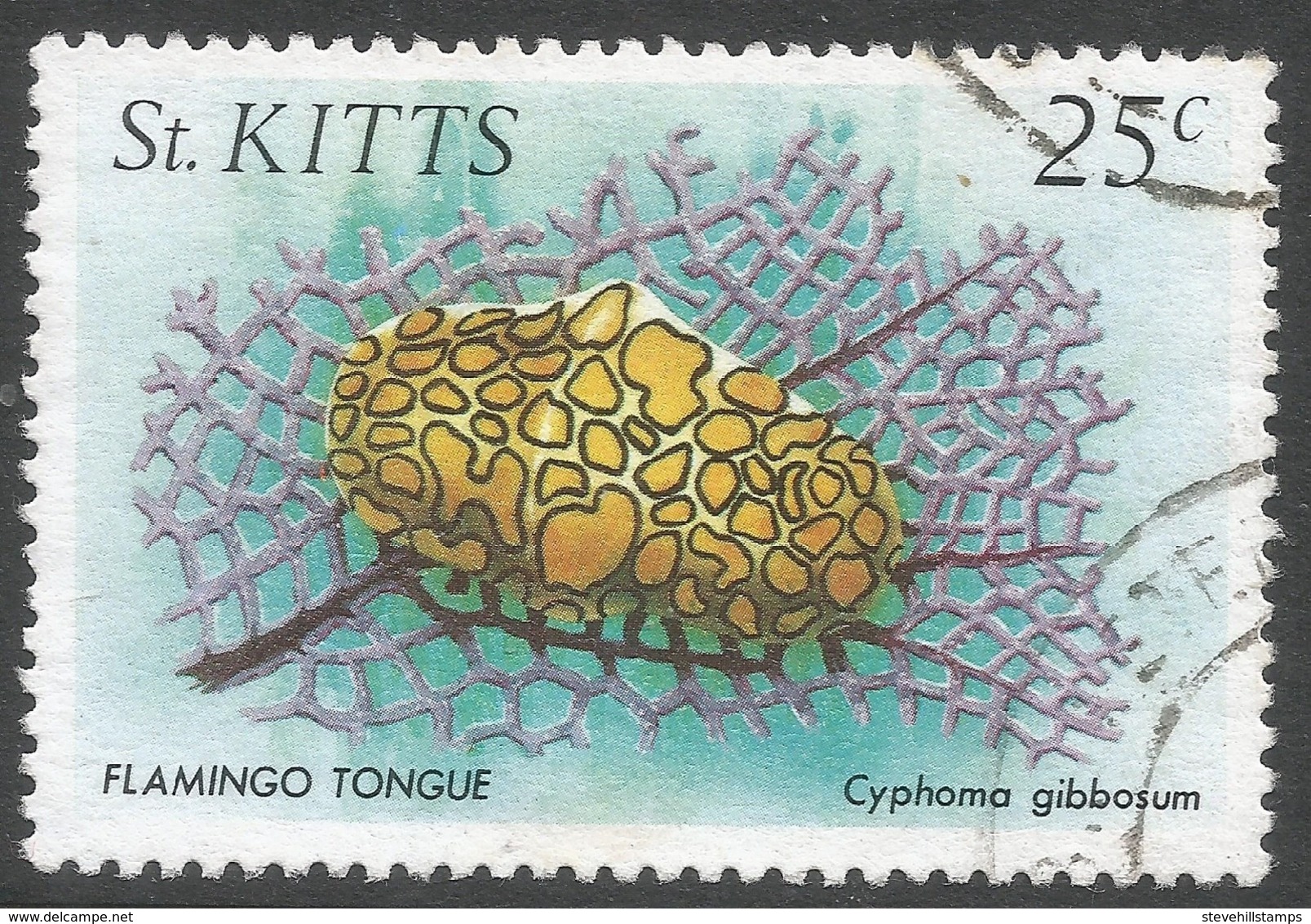 St Kitts. 1984 Marine Life. 25c Used. SG 147 - St.Kitts-et-Nevis ( 1983-...)