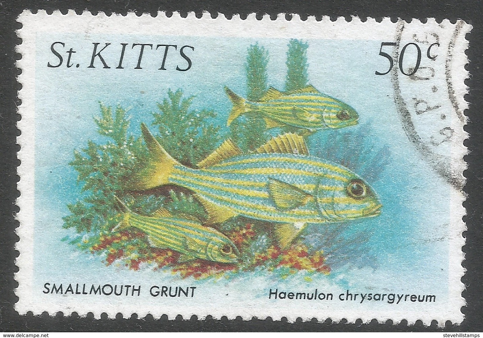 St Kitts. 1984 Marine Life. 50c Used. SG 150 - St.Kitts And Nevis ( 1983-...)