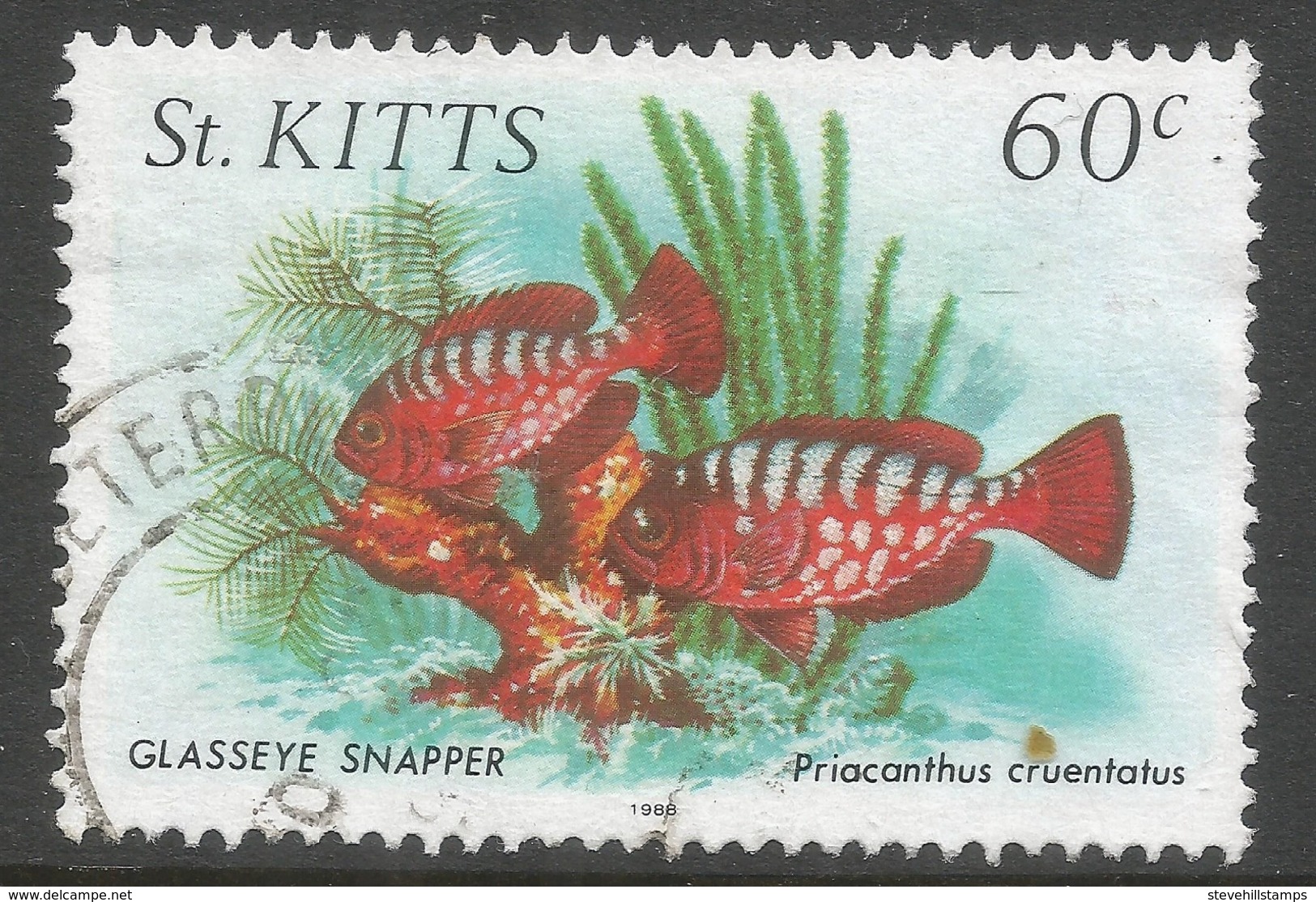 St Kitts. 1984 Marine Life. 60c Used. 1988 Date Imprint SG 151 - St.Kitts And Nevis ( 1983-...)