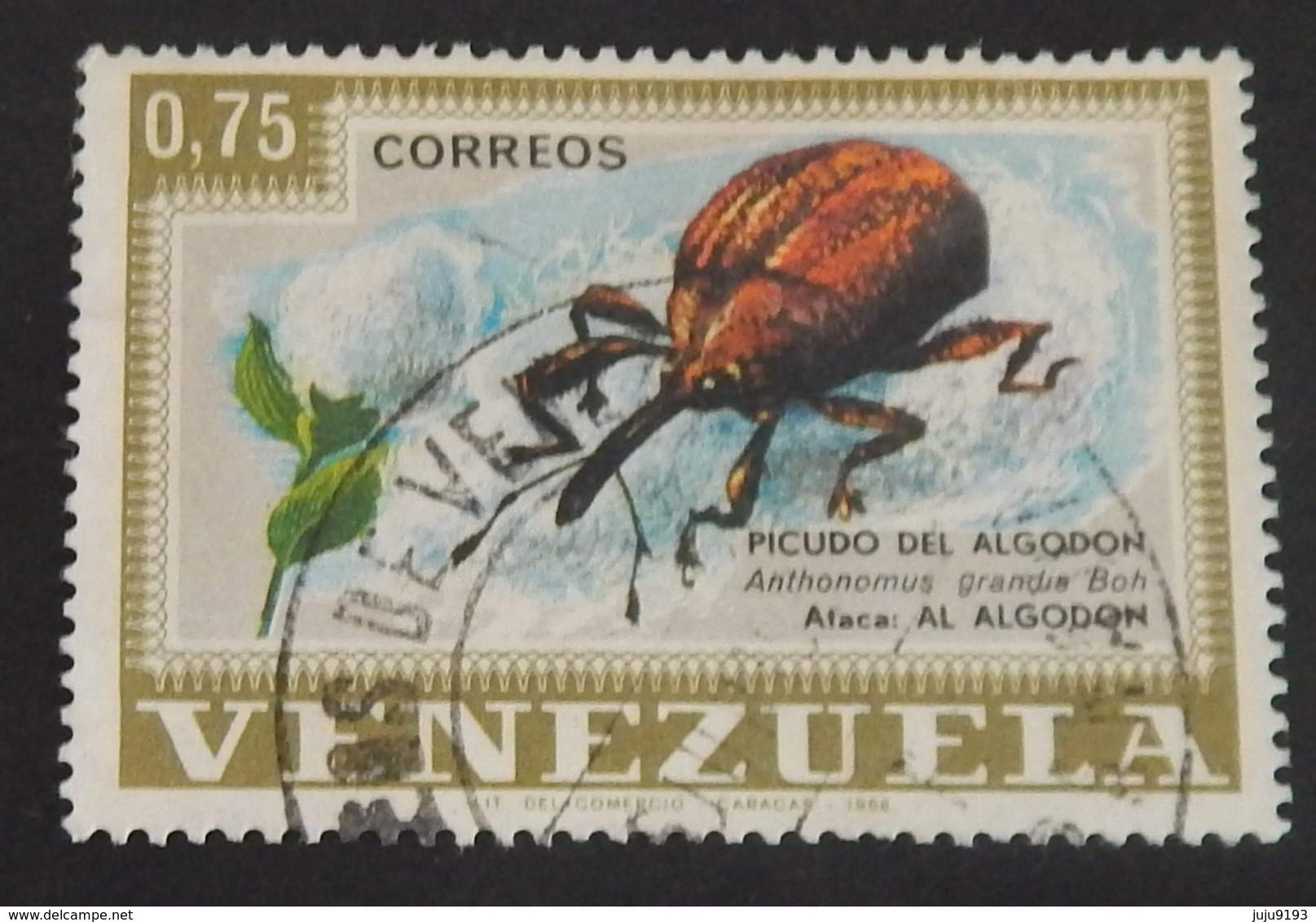 VENEZUELA YT 759 OBLITÉRÉ "INSECTE"ANNÉE 1968 - Venezuela