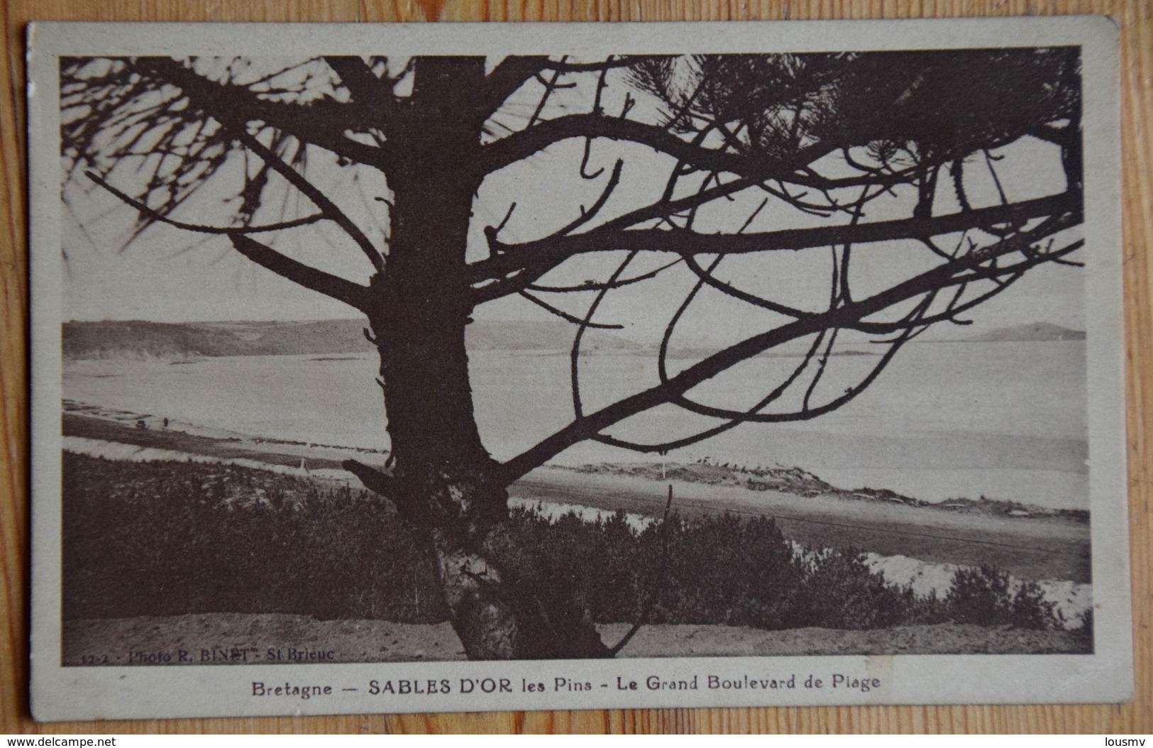 22 : Sables D'Or Les Pins - Le Grand Boulevard De La Plage - (n°16227) - Autres & Non Classés