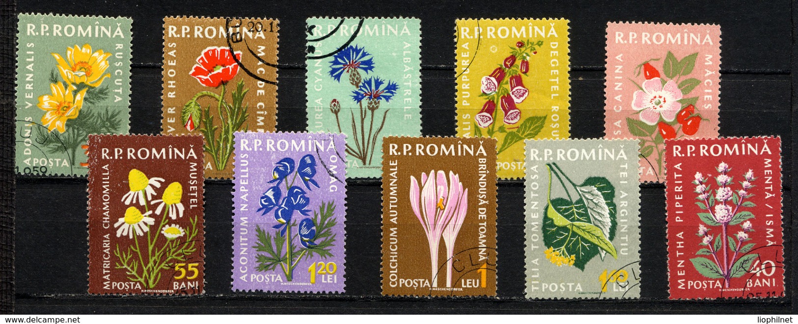 ROUMANIE ROMANA 1957, Plantes Médicinales, 10 Valeurs, Oblitérés / Used. R456 - Medicinal Plants