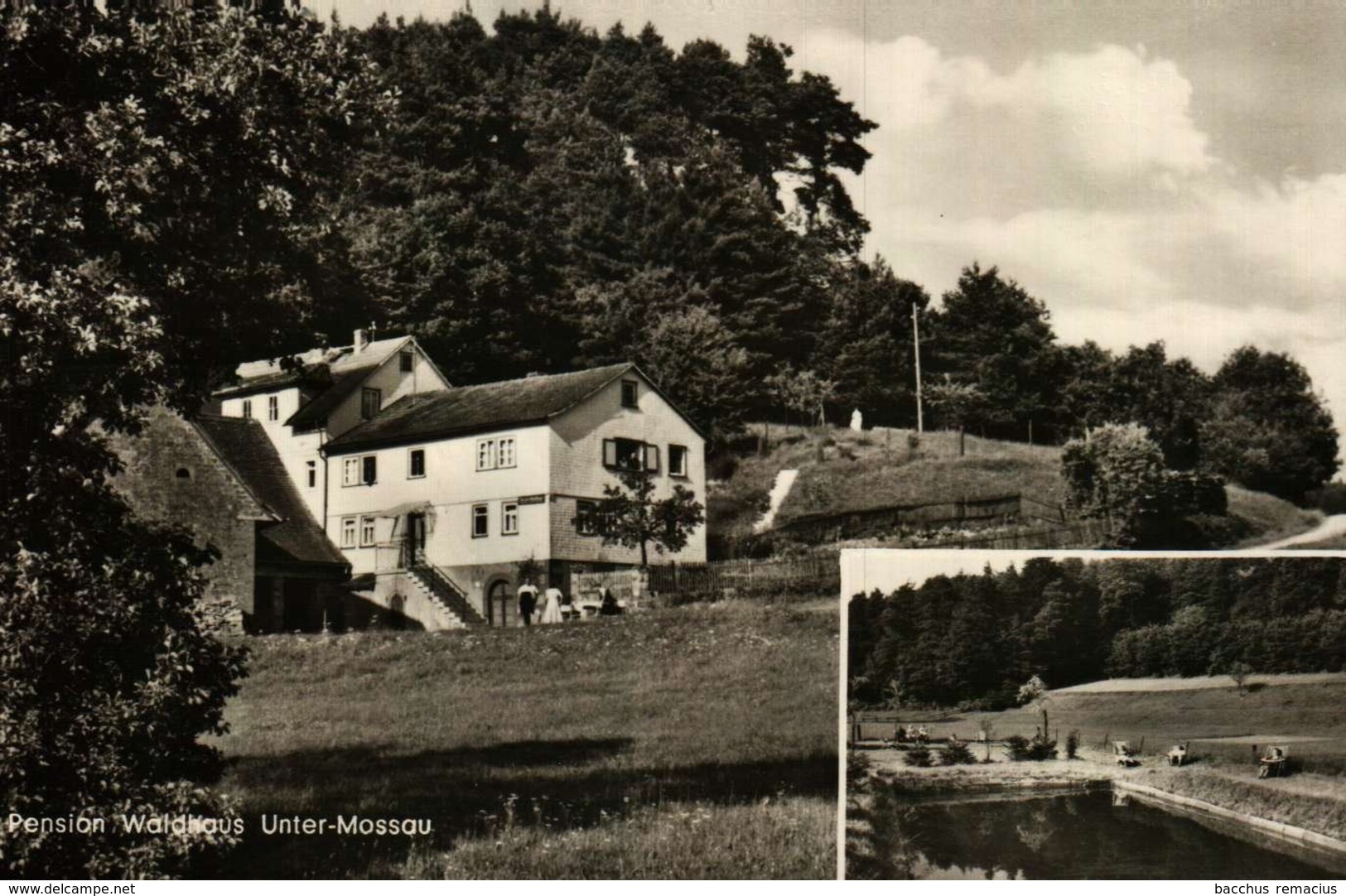 UNTER-MOSSAU   Pension Waldhaus Inh.Jakob Treusch Interessanter Poststempel - Erbach