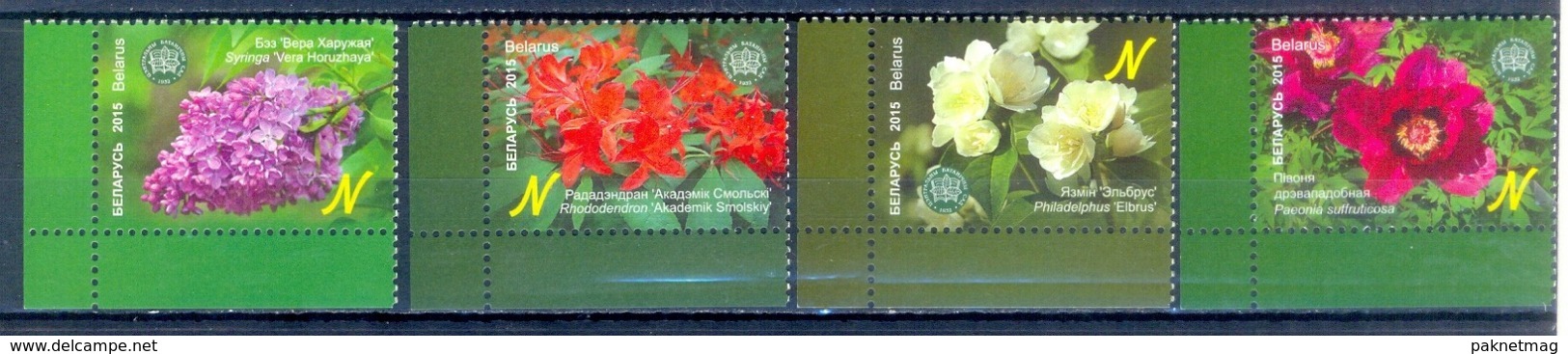 C8- Belarus 2015 Botanical Garden Of Academy Of Sciences Of Belarus. Flowers Jasmine, Lilac, Rhododendron, Peon. - Belarus