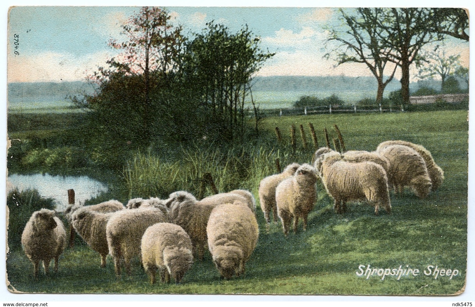 FARMS : SHROPSHIRE SHEEP - Breeding