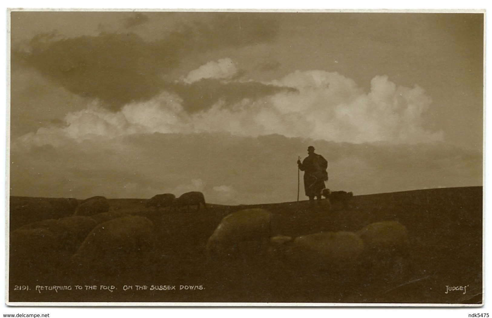 FARMS : SHEPHERD - RETURNING TO THE FOLD / ON THE SUSSEX DOWNS - FLOCK OF SHEEP - Viehzucht