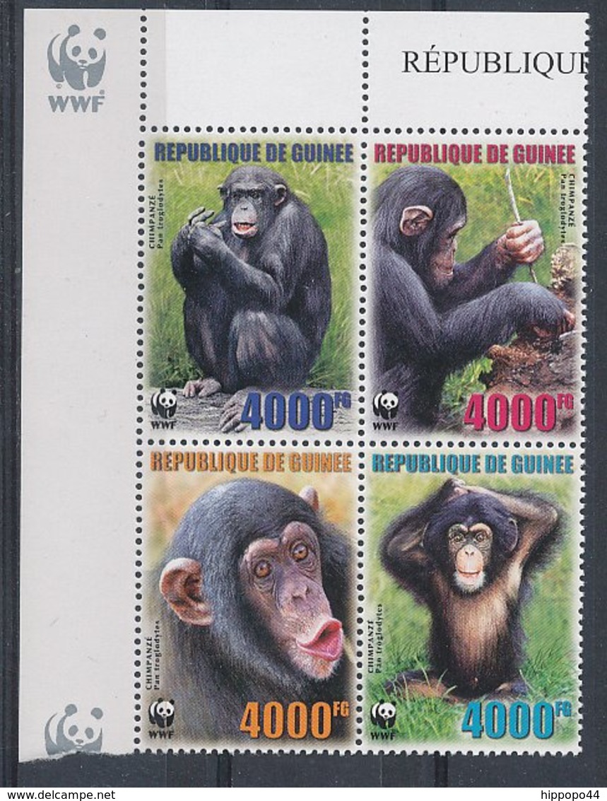 Guinée, Guinea - Chimpanzés, WWF. - Chimpanzés