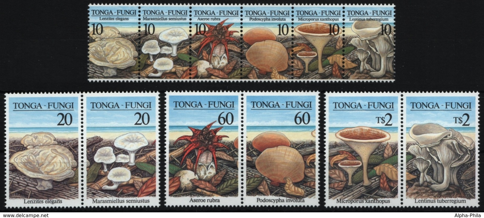 Tonga 1997 - Mi-Nr. 1494-1505 ** - MNH - Pilze / Mushrooms - Tonga (1970-...)