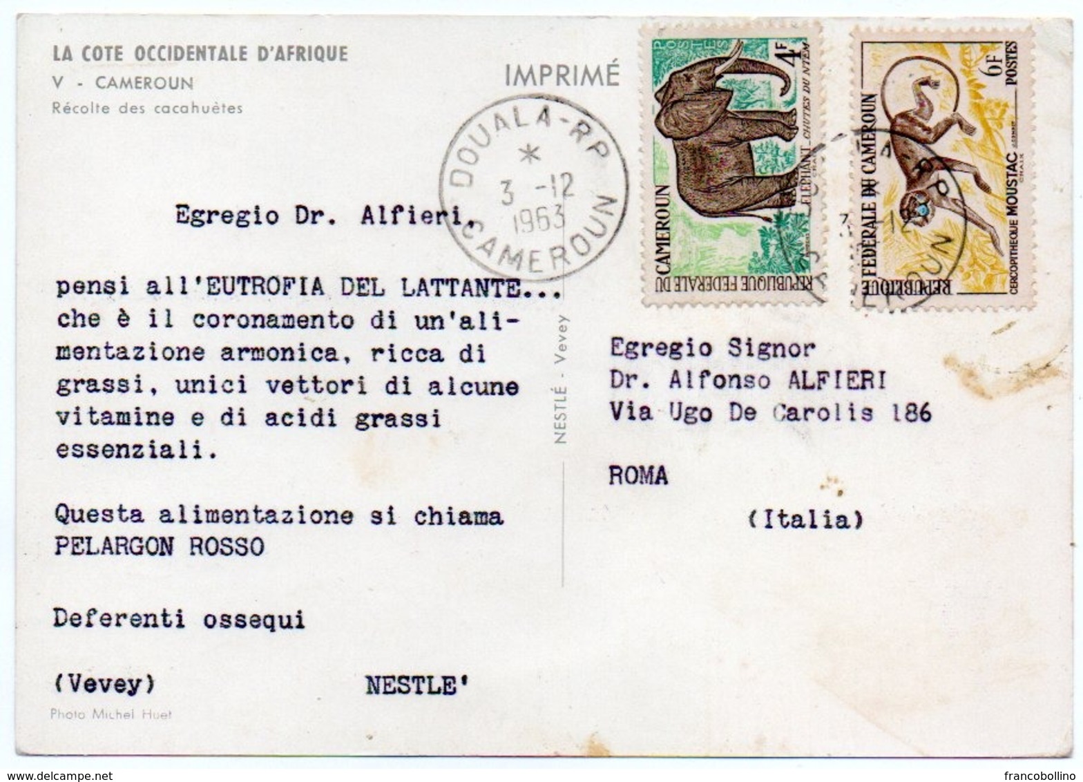 DEAR DOCTOR TYPE PUBL. PELARGON ROSSO-NESTLE' / CAMEROUN RECOLTE DES CACAHUETES/THEMATIC STAMPS-ANIMALS /ELEPHANT-MONKEY - Camerun