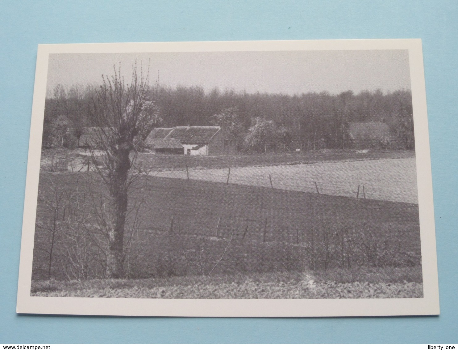 MUNTE De Hoeven In Het Landschap ( COPIE / COPY Van PK Voor 1000 Jaar Munte 990-1990 ) Anno 1990 ( Zie Foto Details ) ! - Merelbeke