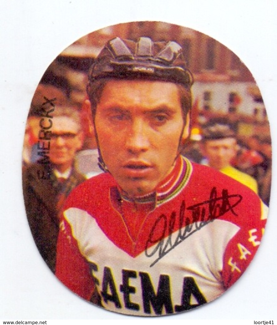 Chromo - Wielrennen Cyclisme - Coureur - Wielrenner - Eddy Merckx - Ploeg Faema - Cyclisme