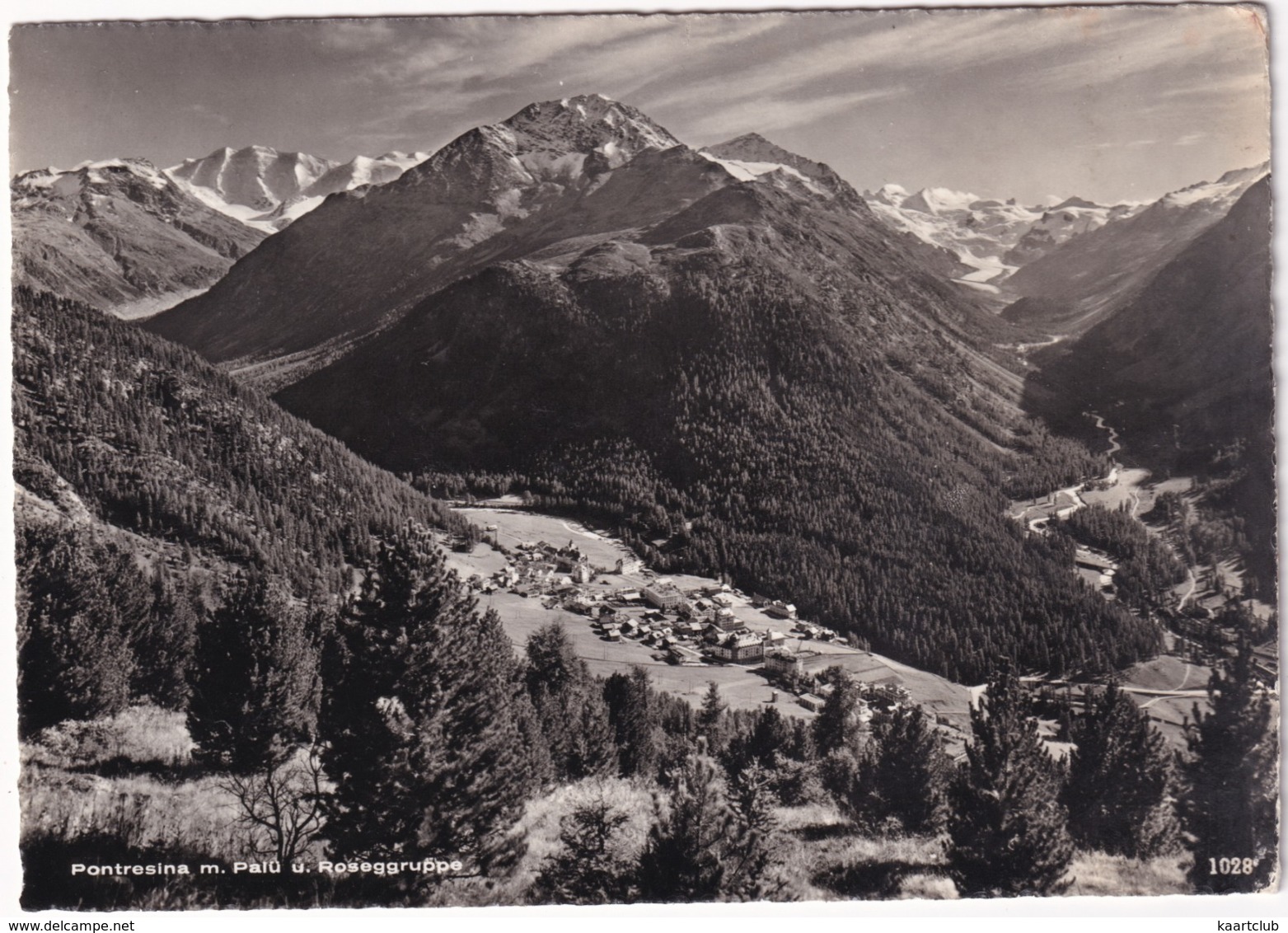 Pontresina M. Palü U. Rosegruppe - Pontresina