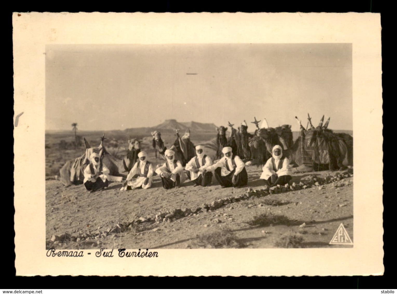 MILITARIA - SAHARA - GROUPEMENT SAHARIEN DU SUD TUNISIEN - REMADA - LE REPOS DE LA PATROUILLE - CHAMEAUX - Régiments