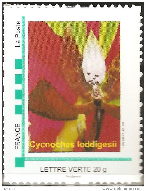 MONTIMBRAMOI Timbres ** Passion Orchidées 2016 Cycnoches Loddigessi - Mon Timbre à Moi Théme Fleur, Flore Végétaux, MTAM - Altri & Non Classificati