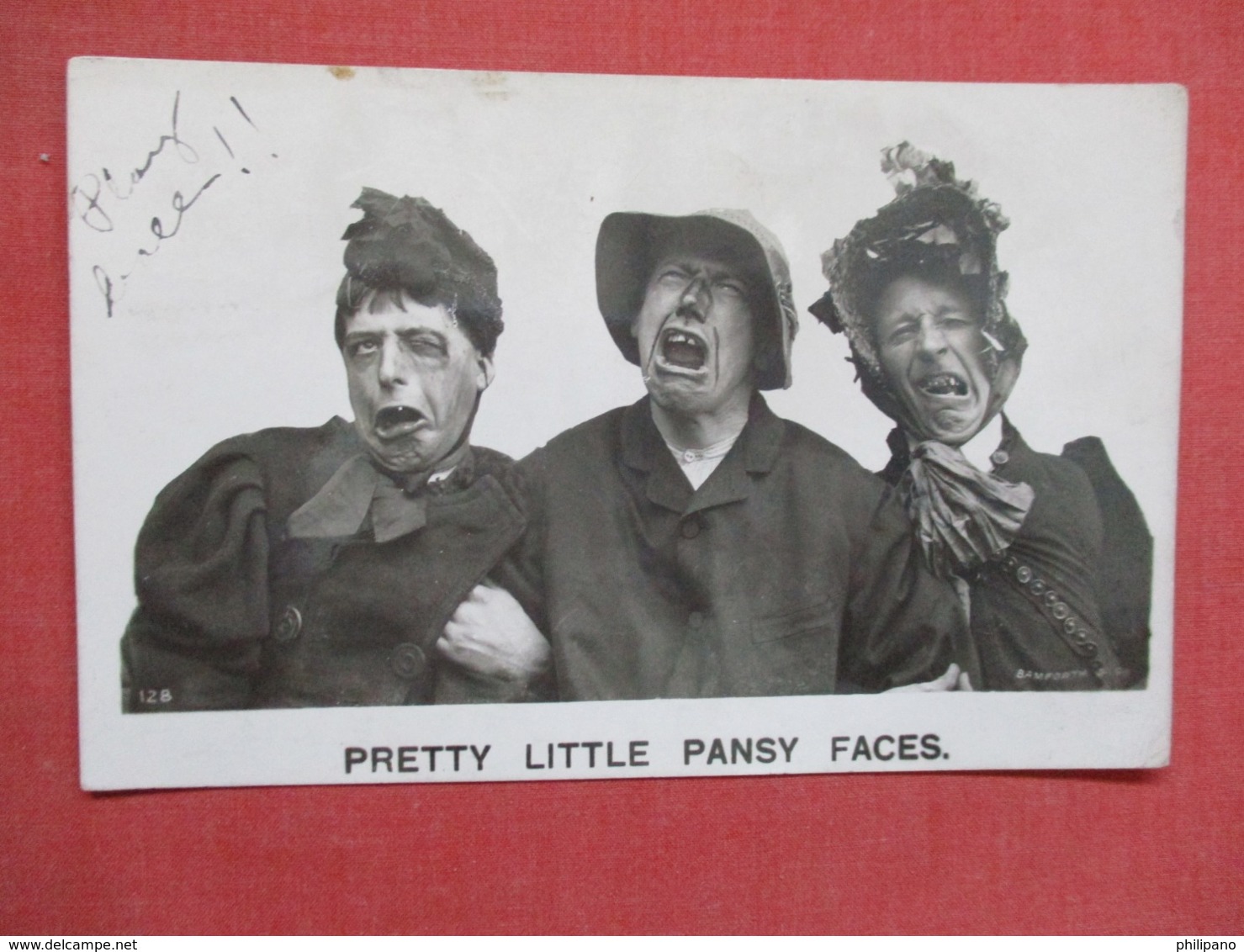 Pretty Little Pansy Faces     Ref 3642 - Humour