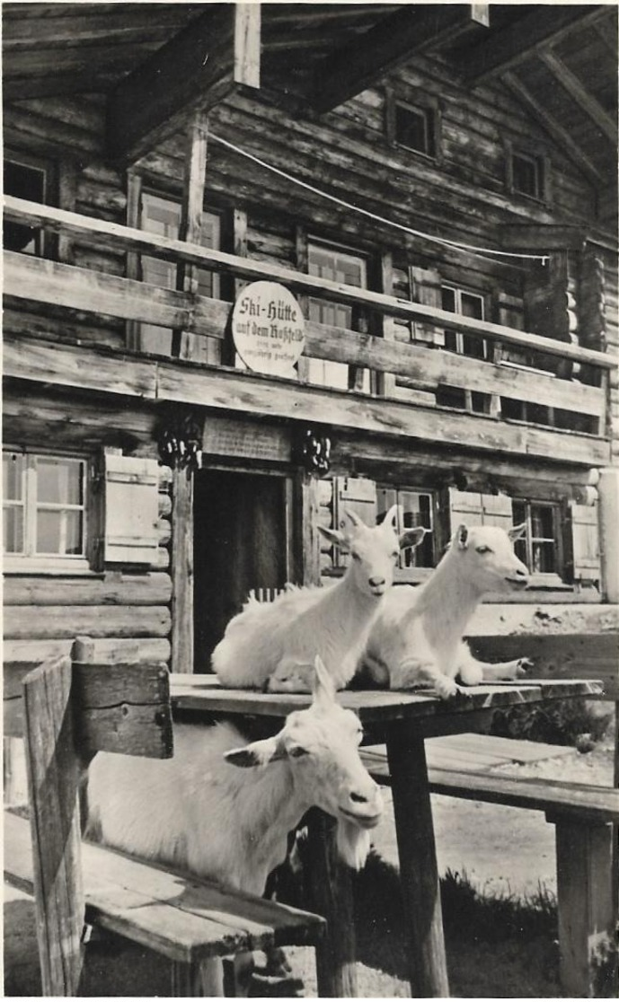 Skihütte Auf Dem Roßfeld 195  Nicht Gelaufen - Berchtesgaden