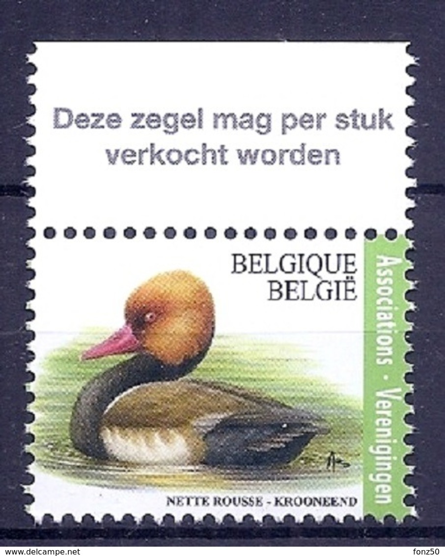 BELGIE * Buzin * Nr 4759  Vlaamse Tekst * Postfris Xx * WIT  PAPIER - 1985-.. Oiseaux (Buzin)