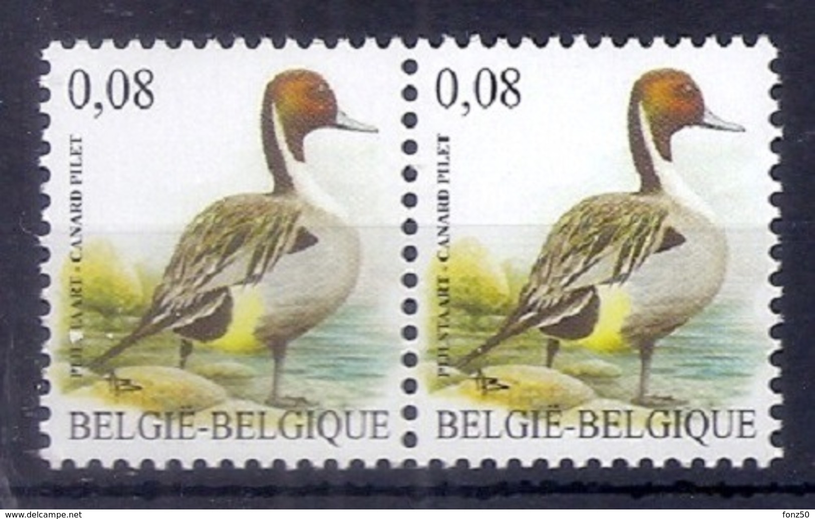 BELGIE * Buzin * Nr 4091 * Postfris Xx *  WIT  PAPIER - 1985-.. Oiseaux (Buzin)