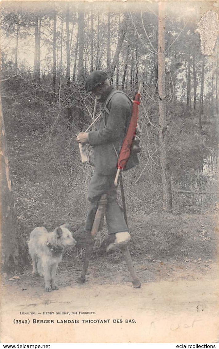 Thème.  Métiers Divers. Tricot.  40  Landes  Berger Landais Sur échasses Tricotant Des Bas(Voir Scan) - Autres & Non Classés