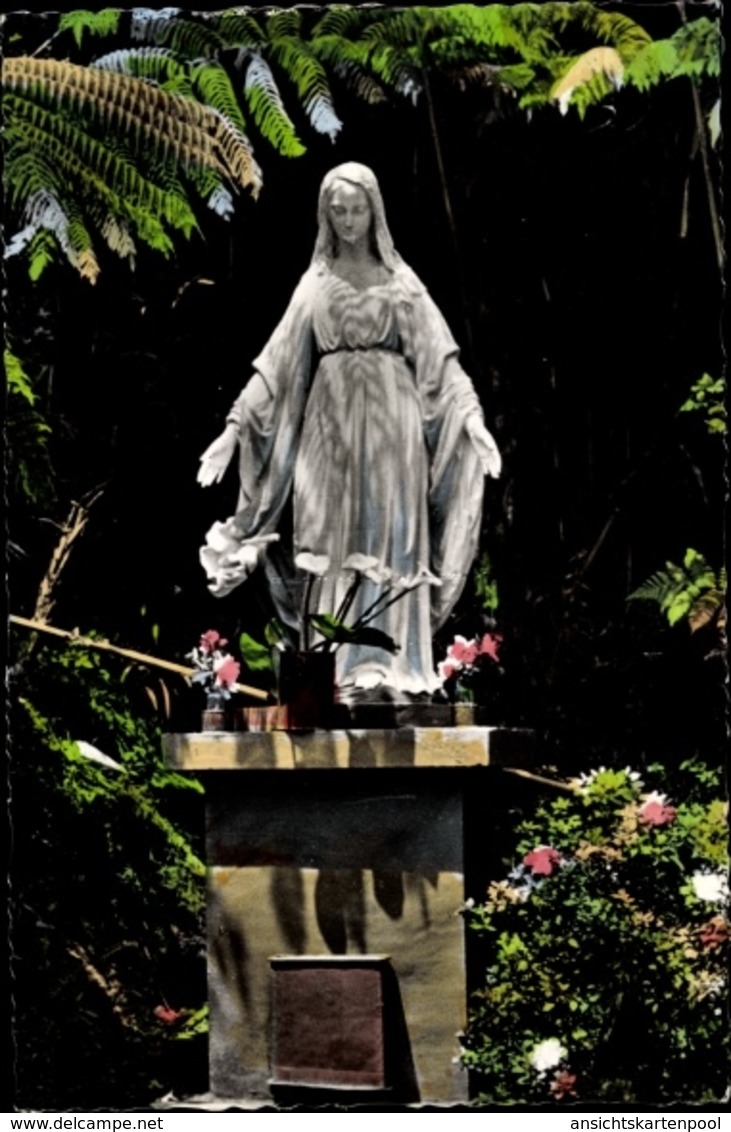 Cp Saint Francois Réunion, La Vierge Du Brule - Autres & Non Classés