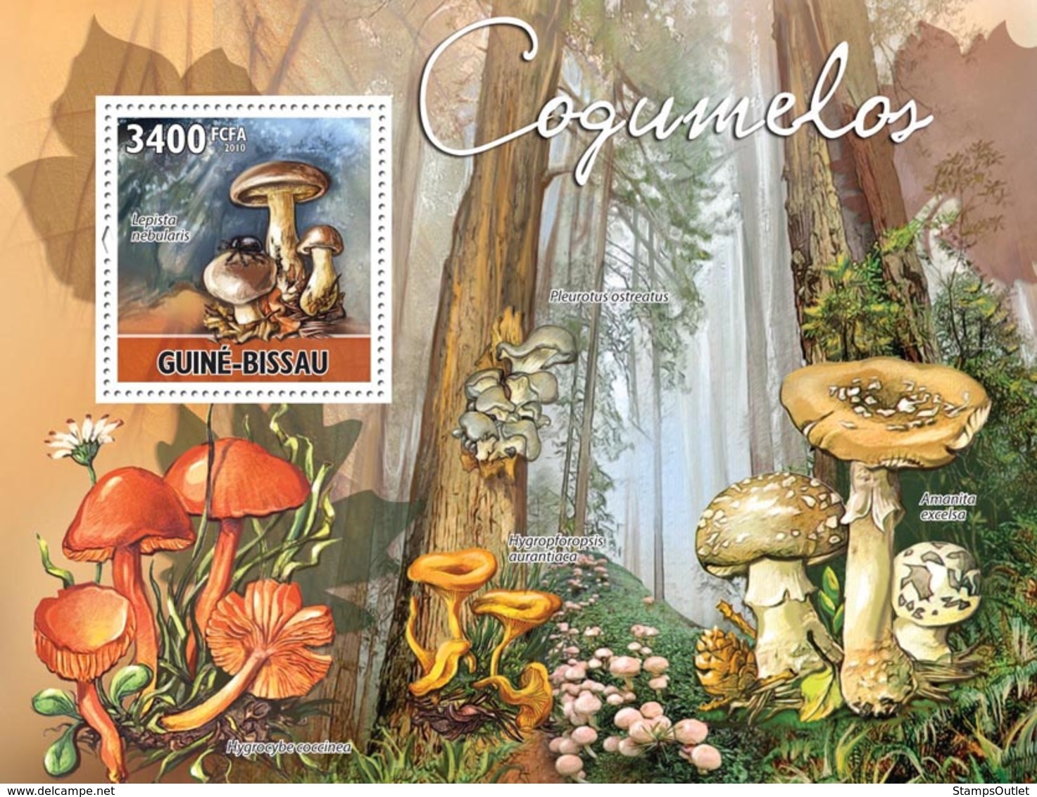 Guinea - Bissau 2010 - Mushrooms S/s Y&T 604, Michel 5165/BL885 - Guinea-Bissau